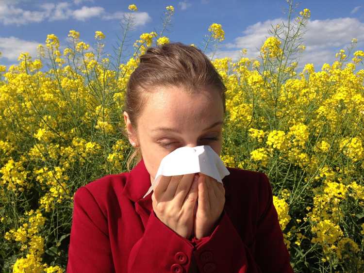 allergie stagionali